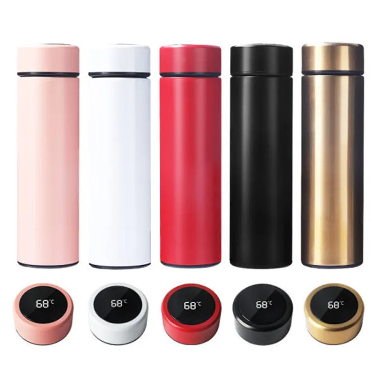 Temperature Display Water Bottle
